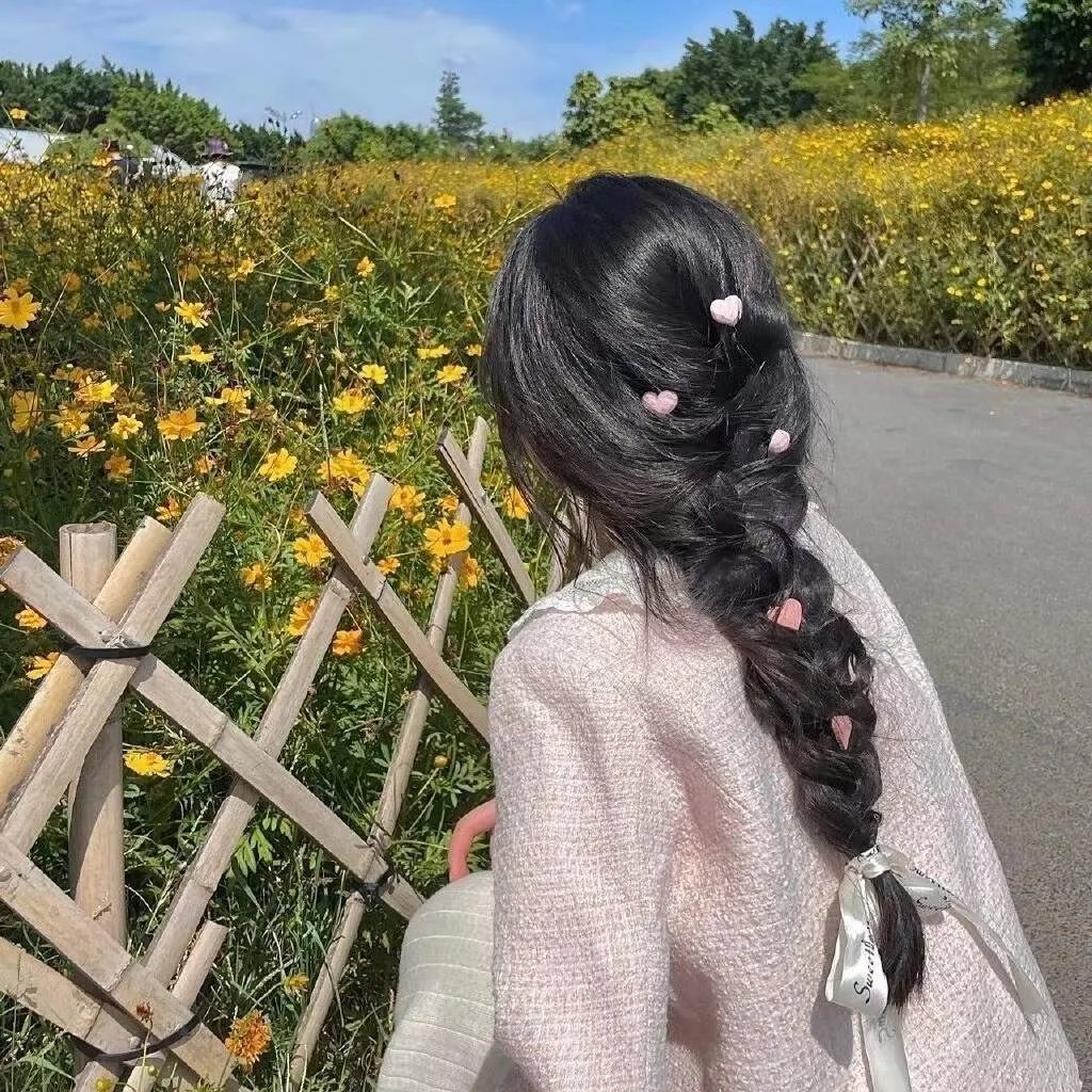 蔷薇处处香